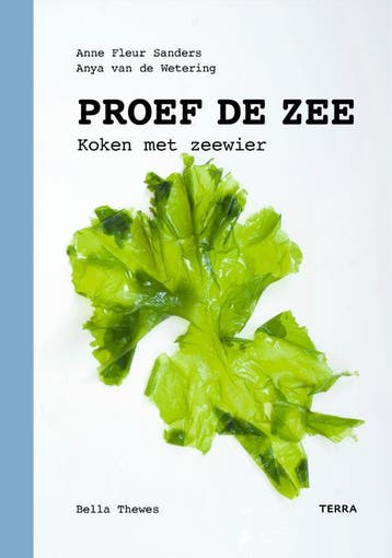 Proef de zee 9789089897961 Anne Fleur Sanders, Verzenden, Gelezen, Anne Fleur Sanders