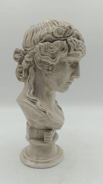 sculptuur, Busto di Antinoo - 27 cm - marmerpoeder