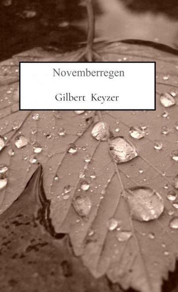 Novemberregen 9789464923407 Gilbert Keyzer, Verzenden, Zo goed als nieuw, Gilbert Keyzer
