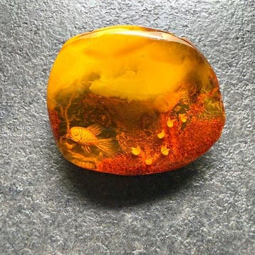 Broche - Gegraveerde natuurlijke hele steen Baltisch amber