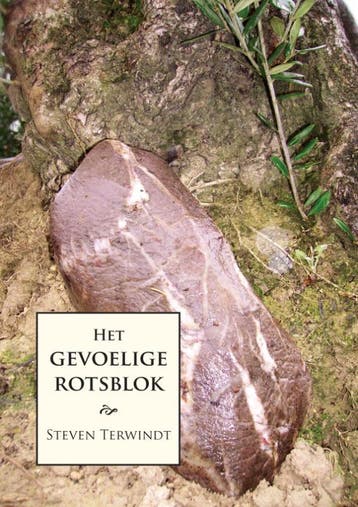 Het gevoelige rotsblok 9789048404094 S. Terwindt, Verzenden, S. Terwindt