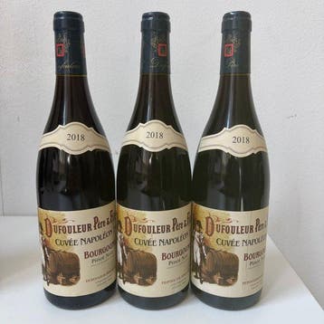 2018 x 3 Dufouleur Père & Fils Bourgogne pinot noir Cuvée