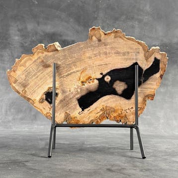 Magnifique tranche de bois pétrifié sur un socle