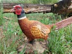 Beeld, Pheasant rooster - 39 cm - polyresin