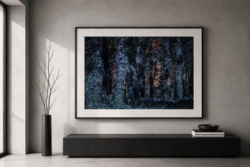 Susana Galbis (XX) - Dark in the forest - XL