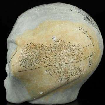 1,46 kg XL Guohua-Stein Skull – Fei Changfangs verborgen