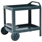 vidaXL Dranktrolley 69x53x72 cm kunststof groen, Verzenden