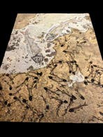 Gefossiliseerd dier - Lycoptera Fossil Assemblage - 60 cm -, Collections