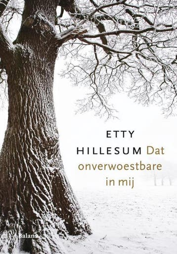 Dat onverwoestbare in mij 9789460033162 Etty Hillesum, Boeken, Verzenden, Zo goed als nieuw, Etty Hillesum
