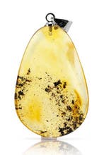 Pendentif en ambre baltique clair miel – inclusion rare de