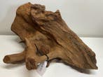 Fine Sinking Wood Selected  FSM694 50x36x25 cm, Ophalen of Verzenden, Nieuw, Plant(en), Steen of Hout
