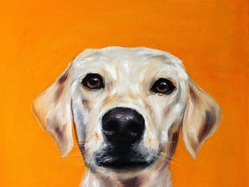 Iwona Kopczyska - Labrador, Antiek en Kunst