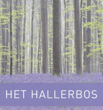 Het Hallerbos 9789082804416 Johan Merckx, Verzenden, Zo goed als nieuw, Johan Merckx
