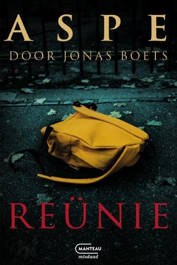Reünie / Van In & Versavel / 1 9789022340011 Jonas Boets, Boeken, Verzenden, Zo goed als nieuw, Jonas Boets
