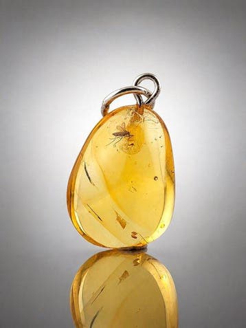 Museumkwaliteit Baltisch amber Hanger – Zeldzame