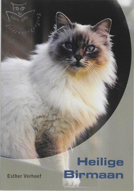 Heilige Birmaan - Verhoef, Livres, Livres Autre, Envoi
