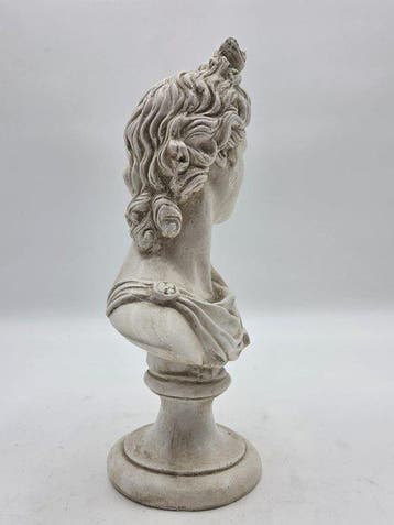 Sculpture, Busto di Apollo - 31 cm - poudre de marbre