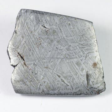 Aletai IJzer meteoriet - 46.8 g