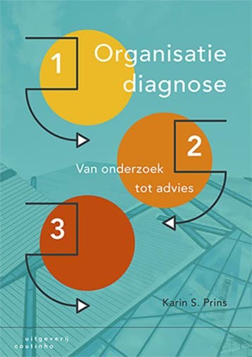 Organisatiediagnose 9789046906156 Karin S. Prins, Verzenden, Zo goed als nieuw, Karin S. Prins