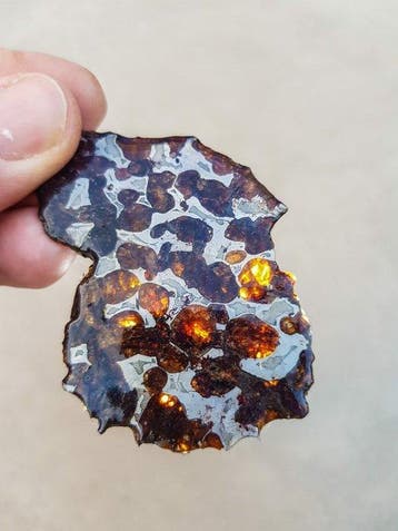 Pallasiet HQ Sericho pallasite - Hoogte: 7.5 cm - Breedte: