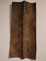Naga schild - India