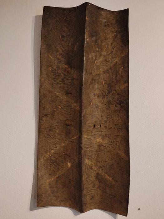 Naga schild - India, Antiek en Kunst, Kunst | Niet-Westerse kunst