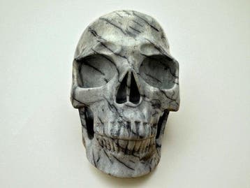 Network Jasper Gesneden schedel - Jasper - 9.5 cm - 8.5 cm -