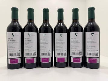 2021 Pinea, 17 by Pinea - Ribera del Duero - 6 Flessen (0.75, Nieuw