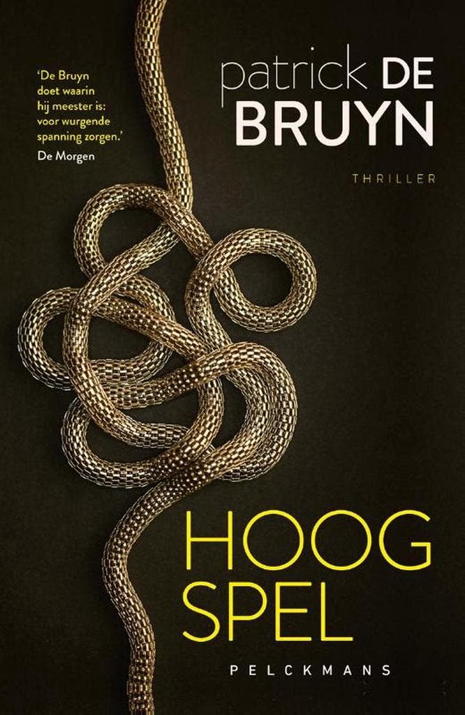 Hoog spel 9789464012194 Patrick De Bruyn, Boeken, Thrillers, Gelezen, Verzenden