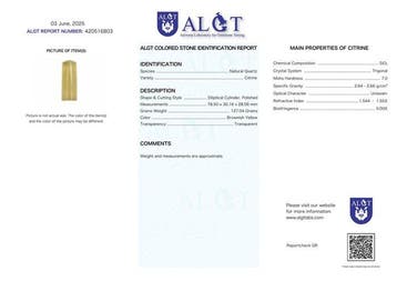 ALGT-gecertificeerd - Grote en meesterlijke natuurlijke