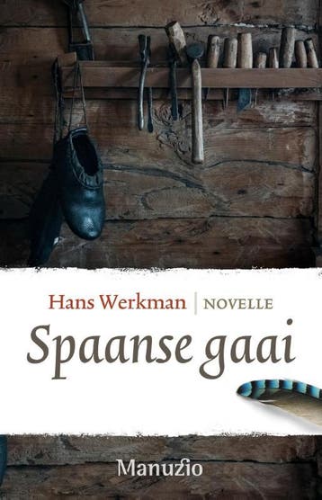 Spaanse gaai 9789492600318 Hans Werkman, Boeken, Verzenden, Zo goed als nieuw, Hans Werkman