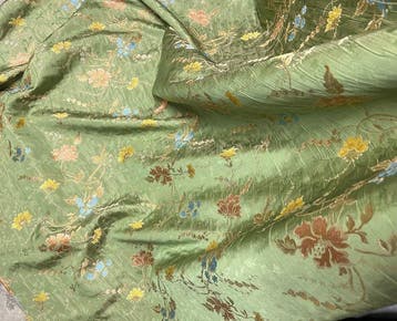Tissu de soie précieux de San Leucio vert pastel enrichi par