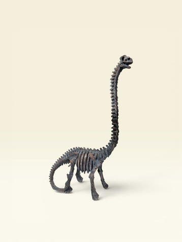 Decoratief ornament - Brachiosaurus-skelet