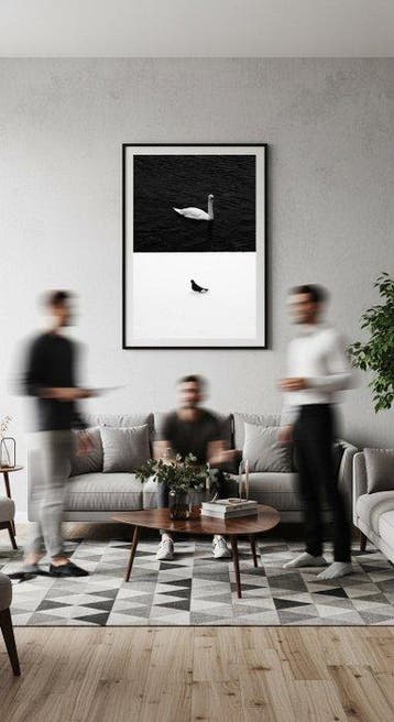 Jure Kralj - Balance of Birds