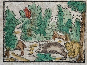 Sebastian Münster - Cosmographia - 1590, Antiek en Kunst