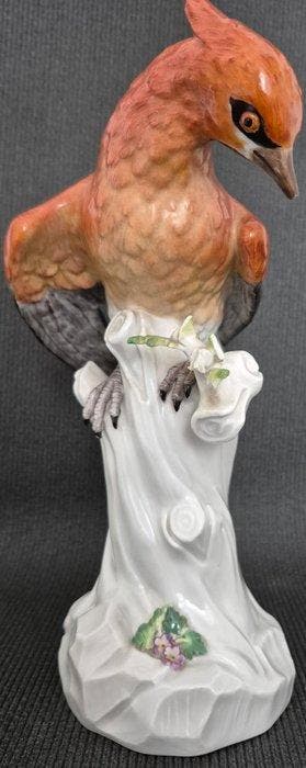 Meissen - sculptuur, Parrot - 24 cm - Porselein