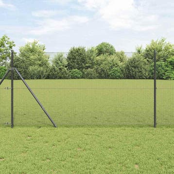 vidaXL gelast draadhek met grondbevestiging 100 x 1 m, Verzenden, Nieuw