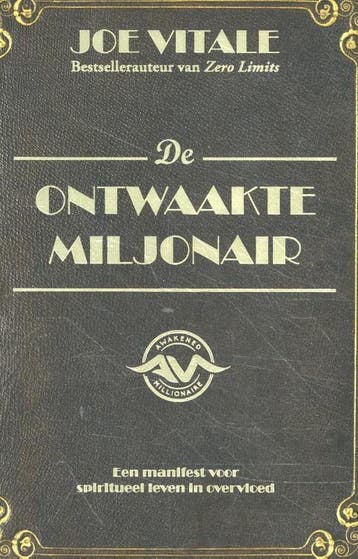 De ontwaakte miljonair 9789463310161 Joe Vitale, Verzenden, Zo goed als nieuw, Joe Vitale