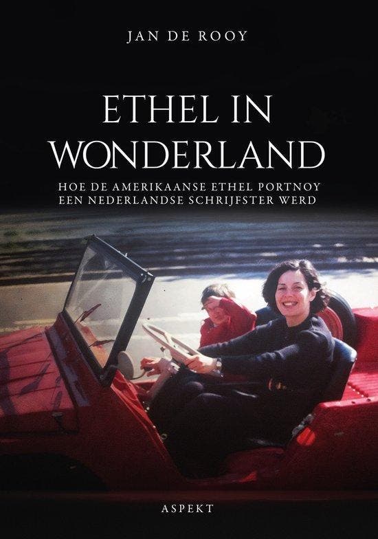 Ethel in Wonderland 9789464872200 Jan De Rooy, Livres, Littérature, Envoi