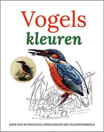 Kleurboek Vogels 9789059474925, Verzenden
