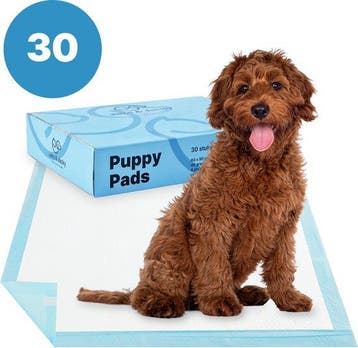 2dekans | Jake en Jacky 30 Puppytraining Pads 60 x 90 cm -, Ophalen of Verzenden, Nieuw