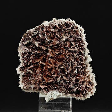 ALPINO, CALCITE BIANCA sur CALCITE à CHARNIÈRE, BIFACIALE,