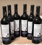 2021 La Torre de Arínzano, Merlot Agricultura Biologica -, Nieuw