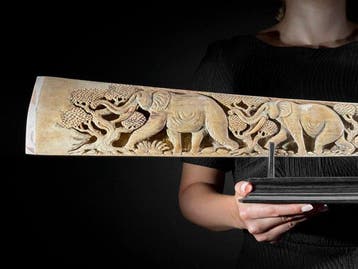 GEEN MINIMUMPRIJS - Prachtige uitgeholde grote