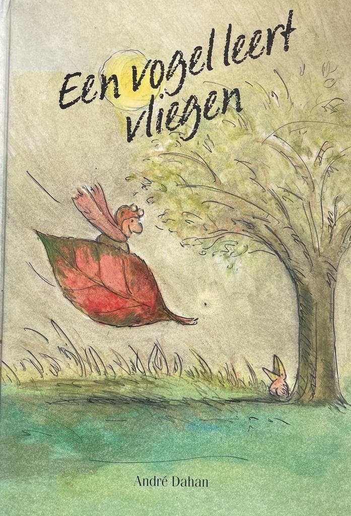 VOGEL LEERT VLIEGEN 9789026911934 DAHAN, Boeken, Kinderboeken | Kleuters, Gelezen, Verzenden