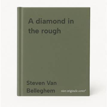 A diamond in the rough 9789401495462 Steven Van Belleghem, Verzenden, Zo goed als nieuw, Steven Van Belleghem