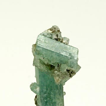 Esthetische Aquamarijn (Beril) Kristalcluster - Hoogte: 4.6