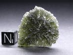 egel Moldavite - 11.96 g