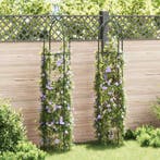 vidaXL Tuinboogtorens 2 st, Verzenden, Nieuw