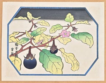 Fifty Flower Themes - Eggplant Flower  - 1930 - Limited